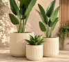 Medittaranean Collection