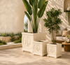 Architectural Collection