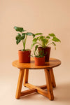 Tabletop Planters